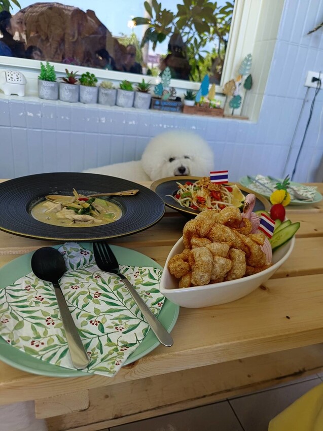 【宜蘭.頭城】拾光旅人泰式餐廳。寵物友善餐廳。泰菜好吃服務貼心的網美店