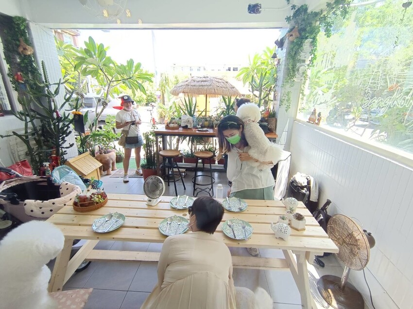 【宜蘭.頭城】拾光旅人泰式餐廳。寵物友善餐廳。泰菜好吃服務貼心的網美店