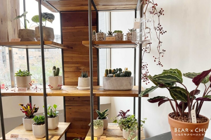 新莊輔大咖啡廳推薦│QUEEN SHOP Life Store・台灣原創服飾品牌的咖啡、花藝、烘焙複合式門市