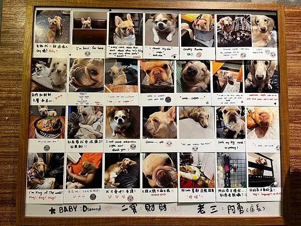 LINE_ALBUM_出國前的圖片_250209_93 LINE_ALBUM_出國前的圖片_250209_93