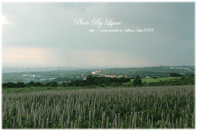 尋找小時記憶：台中都會公園【180°月老夜景】大肚山