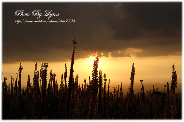 尋找小時記憶：台中都會公園【180°月老夜景】大肚山