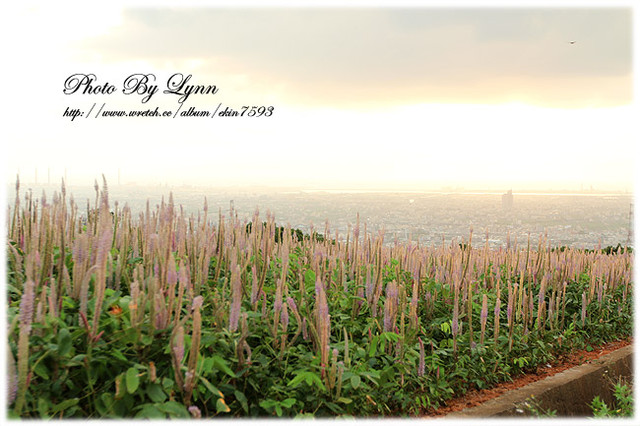 尋找小時記憶：台中都會公園【180°月老夜景】大肚山