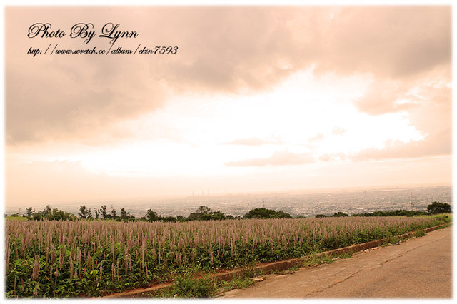 尋找小時記憶：台中都會公園【180°月老夜景】大肚山