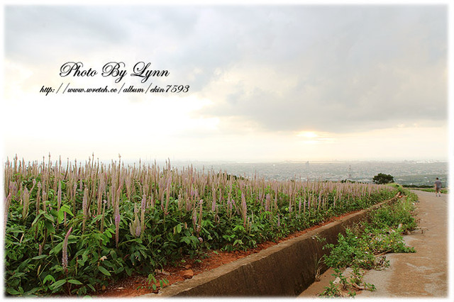 尋找小時記憶：台中都會公園【180°月老夜景】大肚山