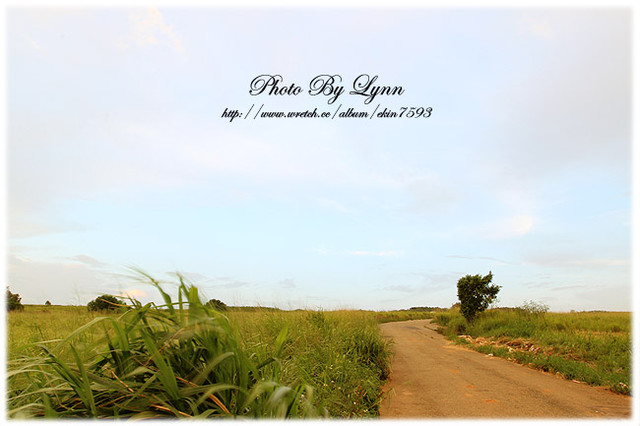 尋找小時記憶：台中都會公園【180°月老夜景】大肚山