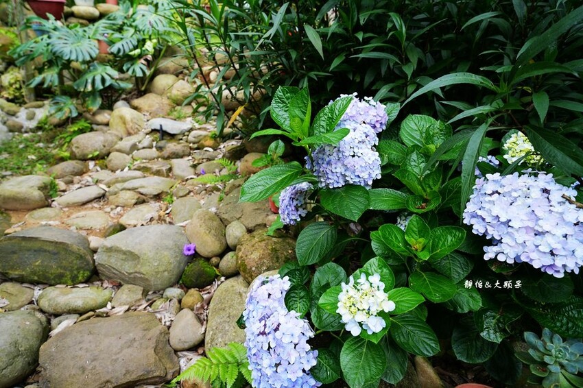 DSC09484_副本.jpg DSC09484_副本.jpg