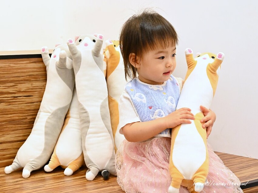 浪愛有家中途貓餐廳｜與可愛貓咪親密互動零距離，還有精緻又美味的餐點可以享用～