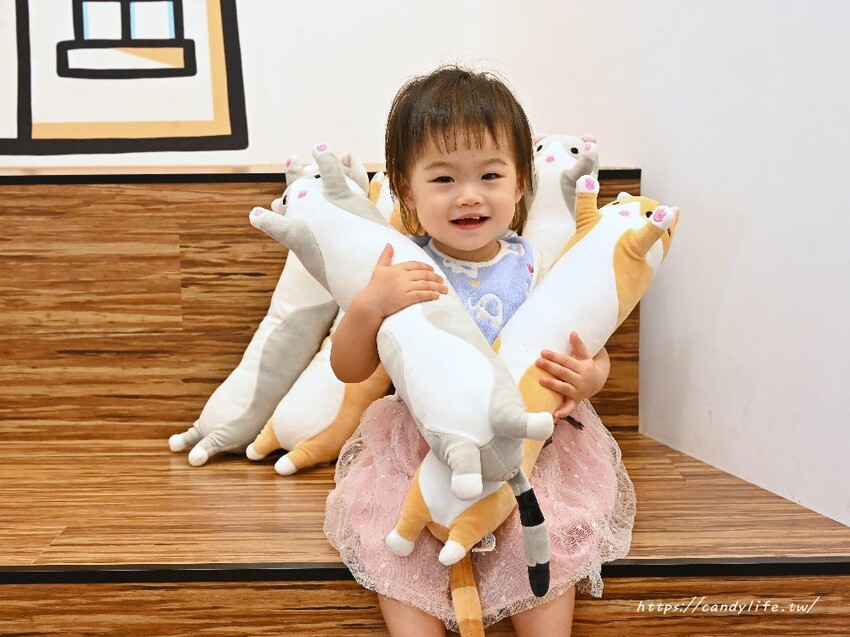 浪愛有家中途貓餐廳｜與可愛貓咪親密互動零距離，還有精緻又美味的餐點可以享用～