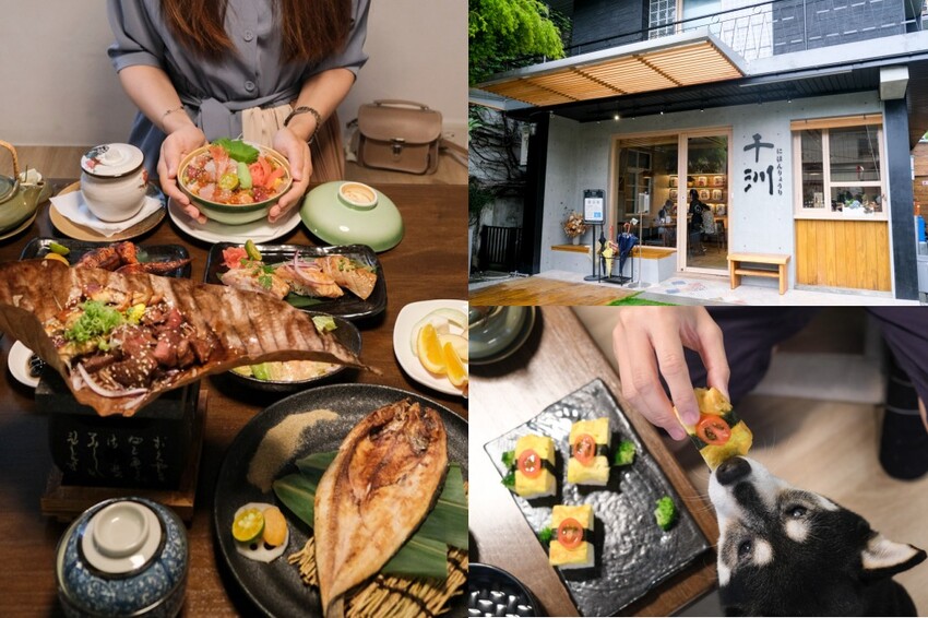 台中霧峰「浪愛有家」浪貓中途之家，親觸貓咪的可愛爆擊！讓每隻貓咪都有家