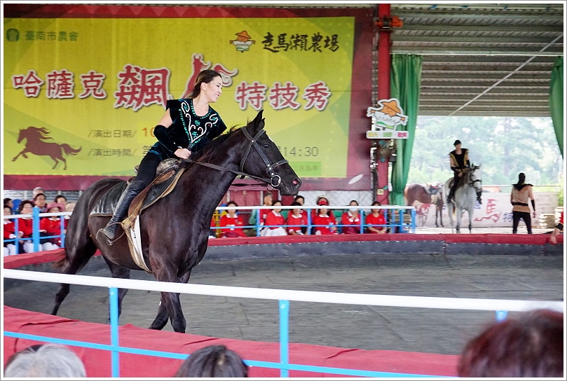 【台南景點】走馬瀨農場30週年慶‧彩虹樂翻天活動!16米彩虹巨馬、牧草迷宮、3D彩繪、草原運動會、毛孩野餐會等,好拍好玩又有趣!