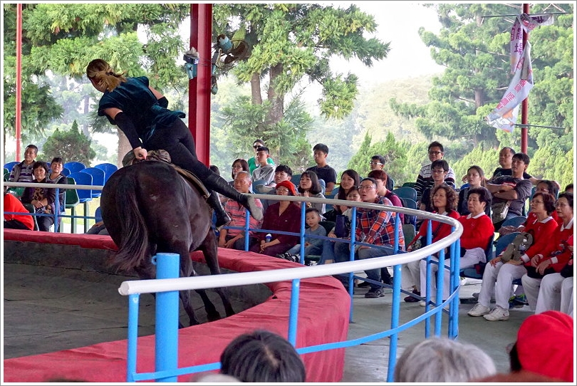 【台南景點】走馬瀨農場30週年慶‧彩虹樂翻天活動!16米彩虹巨馬、牧草迷宮、3D彩繪、草原運動會、毛孩野餐會等,好拍好玩又有趣!