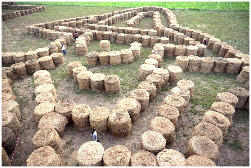 【台南景點】走馬瀨農場30週年慶‧彩虹樂翻天活動!16米彩虹巨馬、牧草迷宮、3D彩繪、草原運動會、毛孩野餐會等,好拍好玩又有趣!