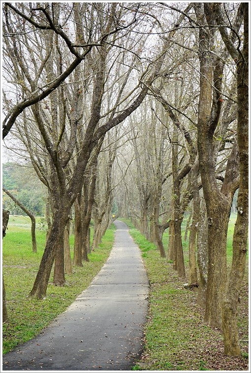 【台南景點】走馬瀨農場30週年慶‧彩虹樂翻天活動!16米彩虹巨馬、牧草迷宮、3D彩繪、草原運動會、毛孩野餐會等,好拍好玩又有趣!