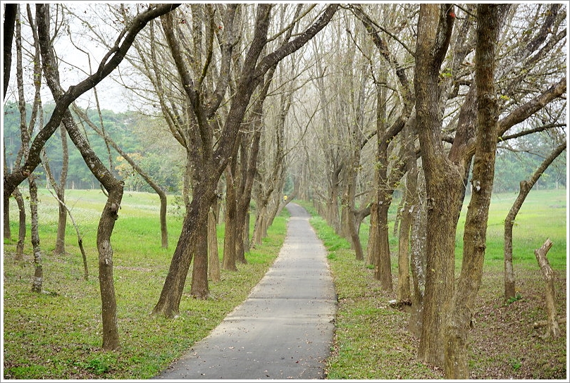 【台南景點】走馬瀨農場30週年慶‧彩虹樂翻天活動!16米彩虹巨馬、牧草迷宮、3D彩繪、草原運動會、毛孩野餐會等,好拍好玩又有趣!