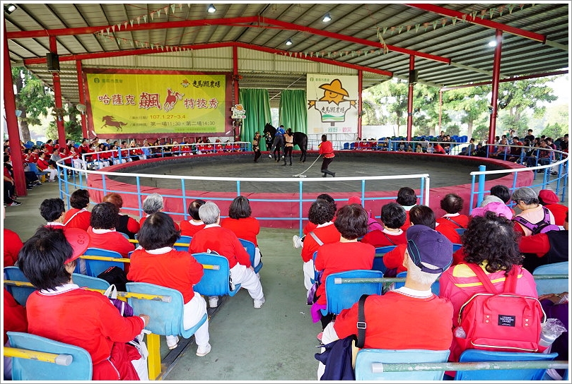 【台南景點】走馬瀨農場30週年慶‧彩虹樂翻天活動!16米彩虹巨馬、牧草迷宮、3D彩繪、草原運動會、毛孩野餐會等,好拍好玩又有趣!