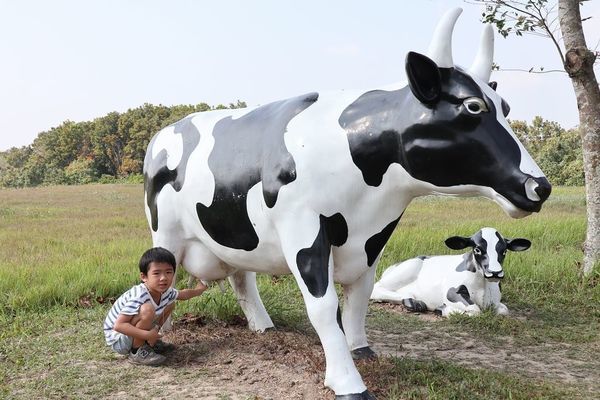 IMG_2422.jpg IMG_2422.jpg