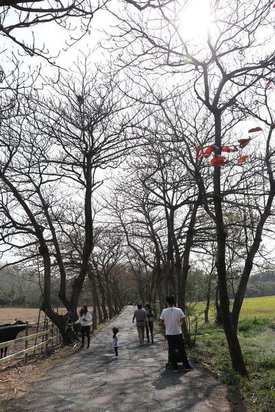 IMG_2414.jpg IMG_2414.jpg