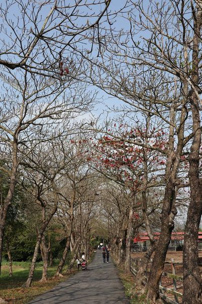 IMG_2423.jpg IMG_2423.jpg