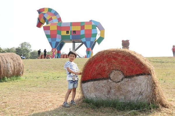 IMG_2482.jpg IMG_2482.jpg