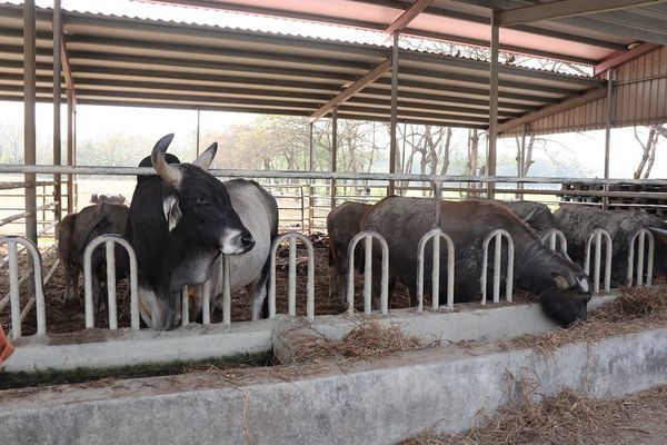 IMG_2410.jpg IMG_2410.jpg