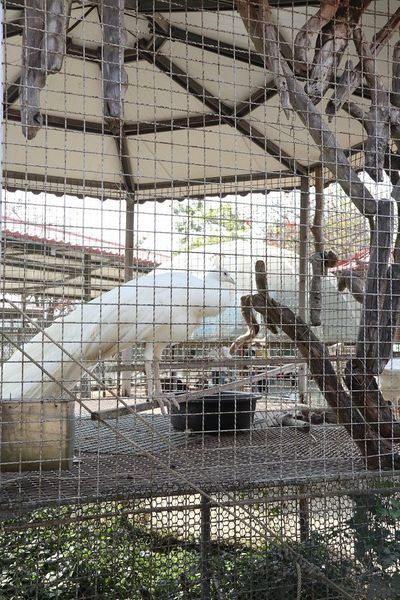 IMG_2403.jpg IMG_2403.jpg