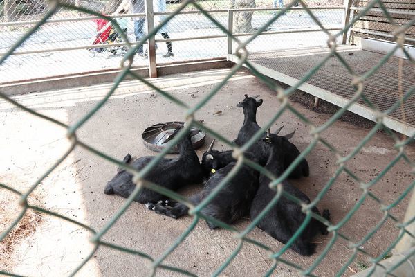 IMG_2407.jpg IMG_2407.jpg