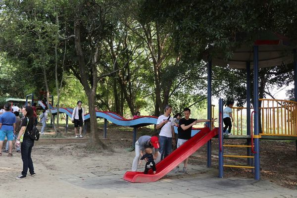 IMG_2539.jpg IMG_2539.jpg