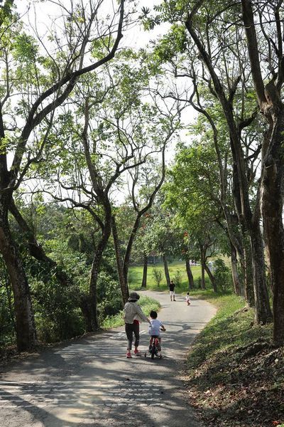 IMG_2433.jpg IMG_2433.jpg