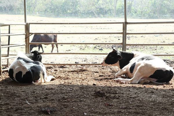 IMG_2408.jpg IMG_2408.jpg