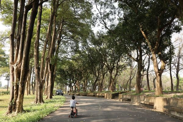 IMG_2452.jpg IMG_2452.jpg