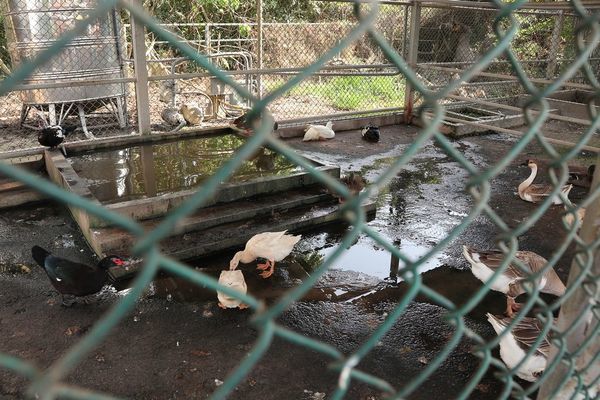 IMG_2406.jpg IMG_2406.jpg