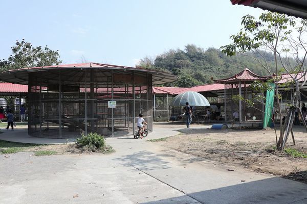 IMG_2397.jpg IMG_2397.jpg