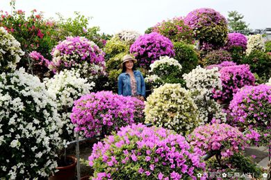 1510384673-1636351874_l.jpg 1510384673-1636351874_l.jpg