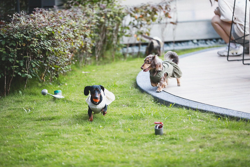 1J6A7886-2拷貝 拷貝