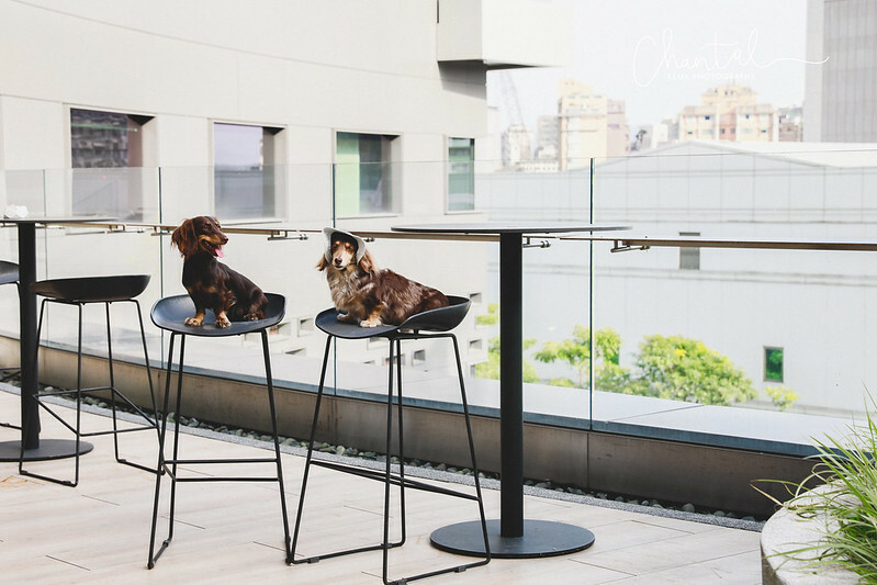 _J6A5260-2拷貝 拷貝