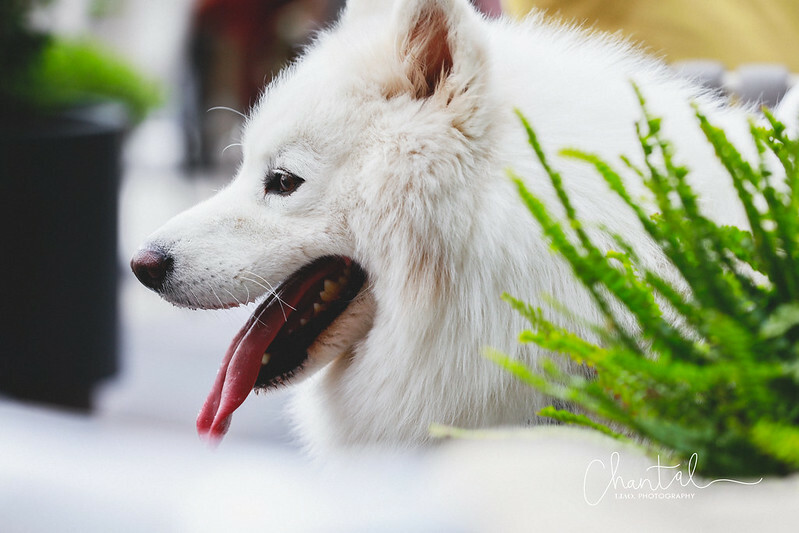 _J6A5074-2拷貝 拷貝