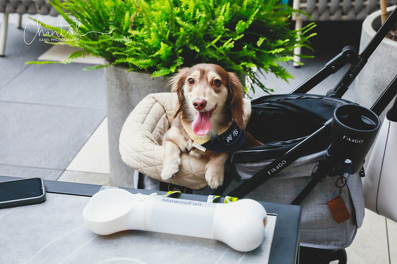 _J6A4986-2拷貝 拷貝