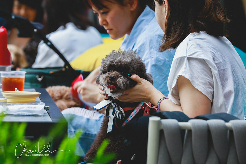 _J6A5044-2拷貝 拷貝