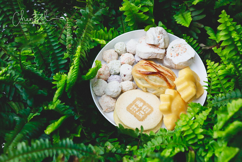 _J6A5095-2拷貝 拷貝