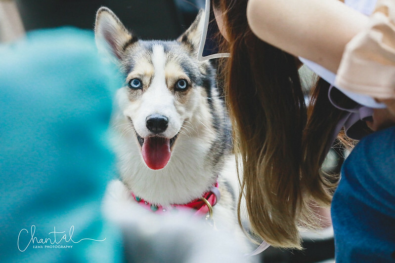 _J6A5086-2拷貝 拷貝