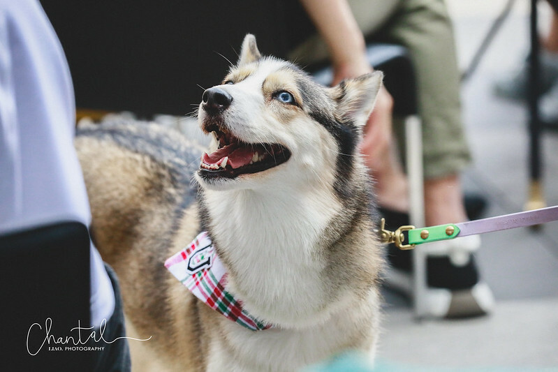 _J6A5092-2拷貝 拷貝