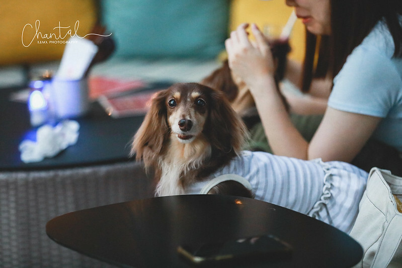 1J6A7917-2拷貝 拷貝