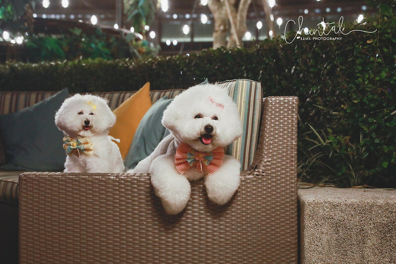 1J6A7975-2拷貝 拷貝