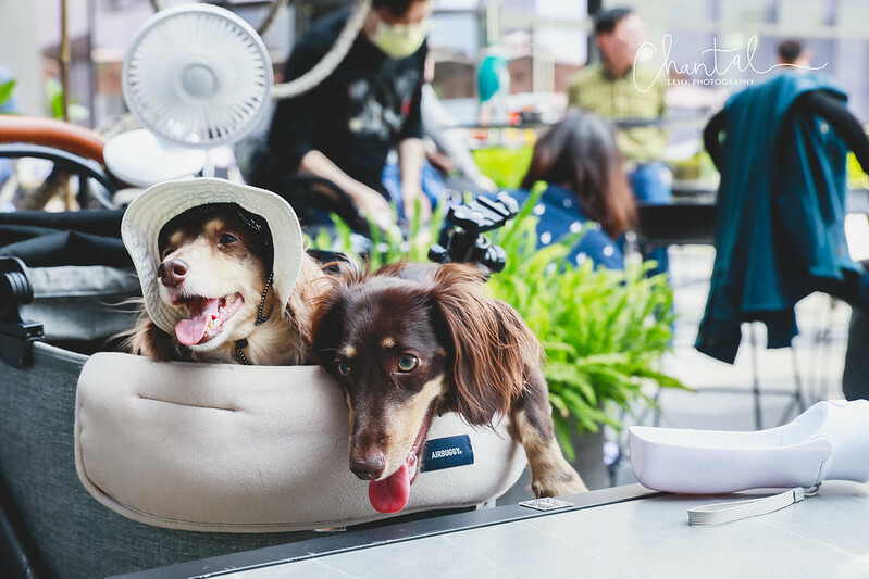 _J6A5036-2拷貝 拷貝