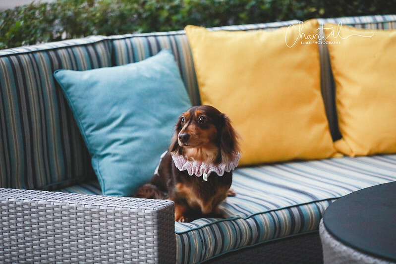 1J6A7907-2拷貝 拷貝