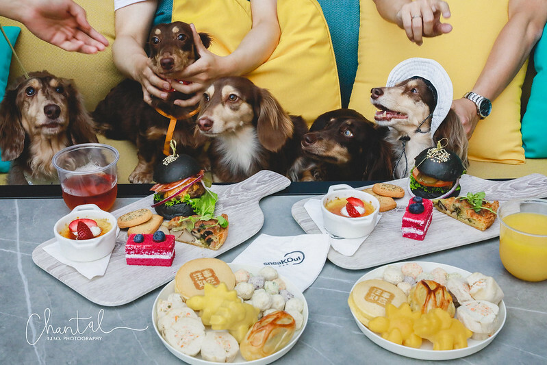 _J6A5150-2拷貝 拷貝