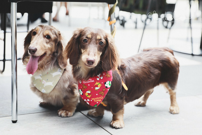 _J6A5214-2拷貝 拷貝