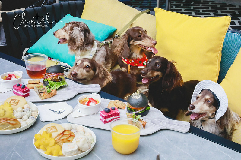 _J6A5168-2拷貝 拷貝