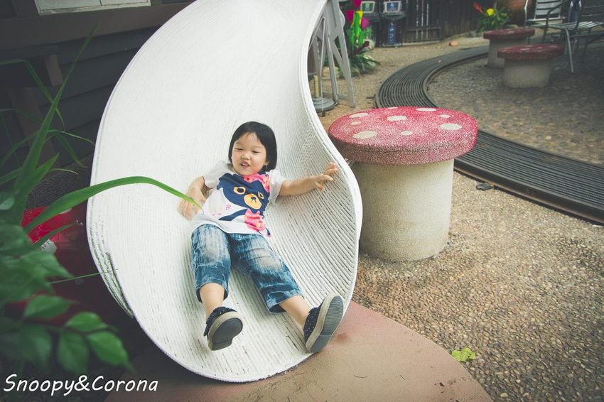 【玩樂.台中】大坑景點/紙箱王創意園區~巨大蘑菇、南瓜馬車、松鼠溜滑梯…紙是太吸睛,適合親子同遊